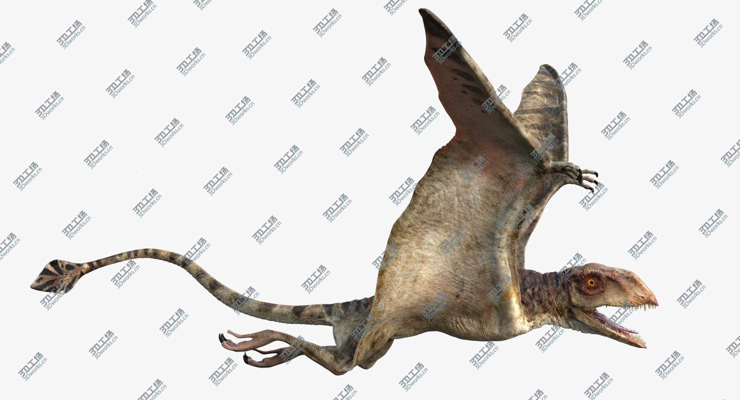 images/goods_img/202104094/Peteinosaurus (Rigged) 3D model/4.jpg